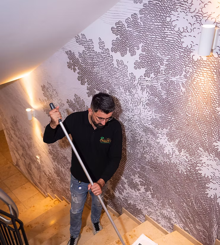 Treppenhausreinigung in Lörrach: Was gehört dazu und wie oft sollte gereinigt werden?